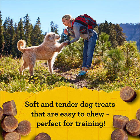 Zuke's Mini Naturals Dog Training Treats, Salmon Recipe, Soft Mini Treats with Vitamins, 6 Ounce Bag (Pack of 3)
