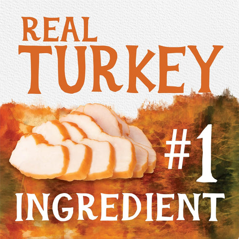 Triumph Free Spirit Grain Free Turkey, Vegetable & Cranberry Recipe Jerky Bites Dog Treats, 24 oz