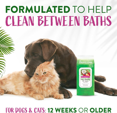 TropiClean Berry & Coconut Dog Wipes for Paws and Butt | Deep Cleaning Grooming Wipes | Safe for The Face | 100 Count