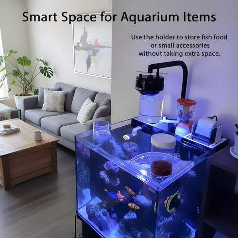 BEVINKATE Rimless 2 Aquarium Plant Holder for Fish Tank Pcs Corner Shelf for Fish Tank Top, Aquatic Plant Planter