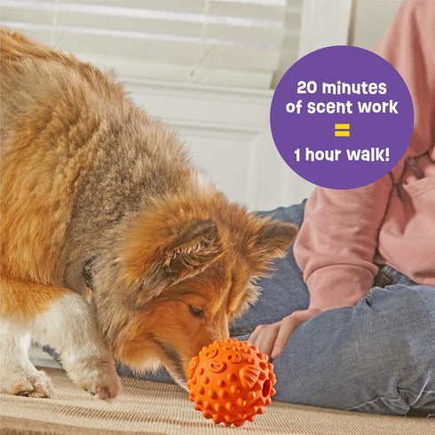 Brightkins Tough & Tumble Small Pufferfish - Interactive Dog Puzzle Toy for All Breeds