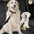SunGrow Dog Seat Belt for Car - Adjustable Nylon Pet Seatbelt, Supports All Cars, for Dogs, Cats & Ferrets