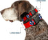 Buckle-Down Plastic Clip Collar, Tennessee Flag Stars Red/White/Blue, 1" Wide, Fits 15-26" Neck