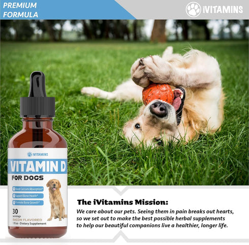 Vitamin D for Dogs, Supports Strong Bones, Dog Vitamins and Supplements, 1 fl oz