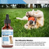 Vitamin D for Dogs, Supports Strong Bones, Dog Vitamins and Supplements, 1 fl oz