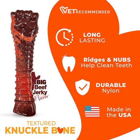 Nylabone Textured Bone Power Chew Toy for Dogs - Durable & Tough for Aggressive Chewers, Beef Jerky Flavor, X-Large