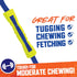 Nerf Dog Megaton Competition Stick - 12in TPR/Foam - Blue/Green