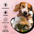 Dog Diggin Designs Runway Pup Collection, Unique Squeaky Parody Plush Dog Toys, Prêt-à-Porter Bones, Balls & More