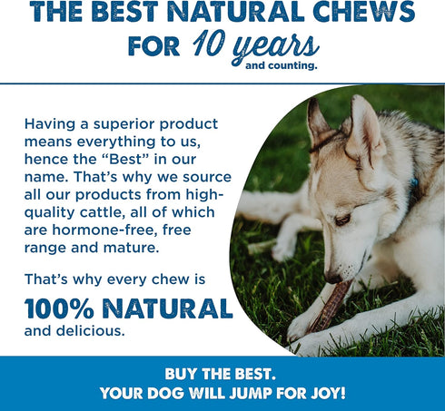 12 Inch 12 Count (Pack 1) Best Bully Sticks Beef Jerky for Dogs - of - All-Natural, High-Protein Gullet, Rawhide Free