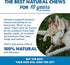 12 Inch 12 Count (Pack 1) Best Bully Sticks Beef Jerky for Dogs - of - All-Natural, High-Protein Gullet, Rawhide Free