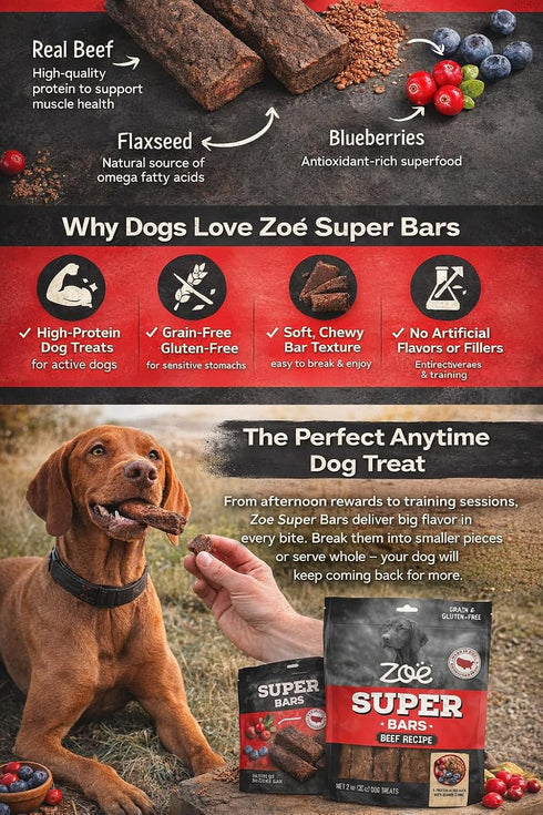 Hoiyen Packed 32 oz 2 (Pack 1) Zoe Super Bars Beef Recipe Dog Treats - Protein Snacks with Berries and Flax Grain