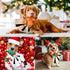Leyndo 24 Pieces Christmas Squeaky Dog Toys Bulk, Interactive Teething Chew Toys for Christmas Dogs