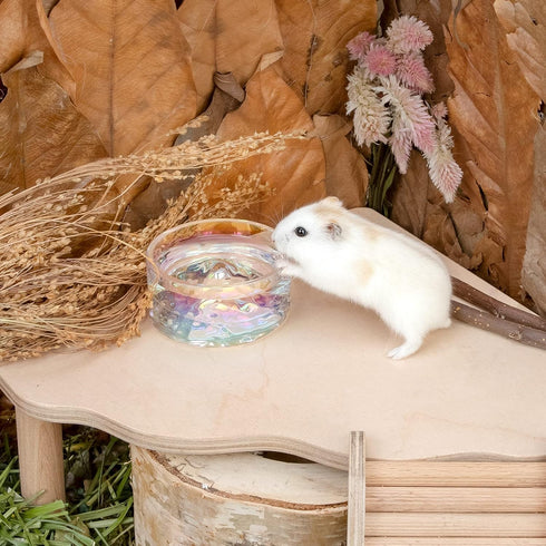 Niteangel Hamster Feeding & Water Bowls, Mount Fuji Series Glass Drinking Bowls for Dwarf Syrian Hamsters, Gerbils,