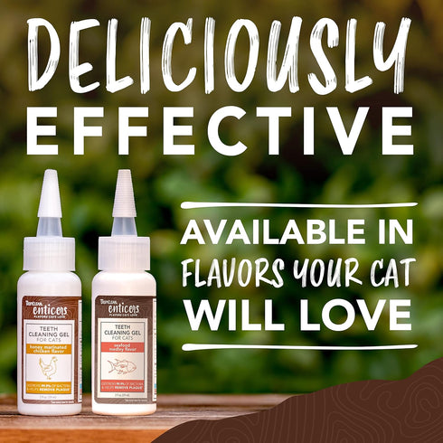 TropiClean Enticers Cat Teeth Cleaning Treat Gel, Honey Chicken Flavored Cat Toothpaste Alternative, 2 oz