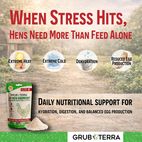 180 GrubTerra Hen Harmony All-in-One Chicken Electrolytes for Water with Probiotics & Prebiotics, Daily Gut Supplement