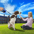 Retractable Dog Leash, Heavy Duty Leash for Small Dog or Cat up to 26 lbs, 360° Tangle-Free Strong Nylon Tape (16FT