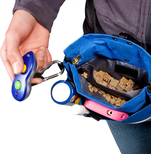 PetSafe Treat Pouch Sport- Durable, Convenient Dog Training Accessory, Cadet Blue