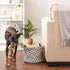 Bone Dry Pet Storage Collection, Lattice Paw Print, Gray, Small Round Storage Container