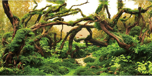 AWERT 48x24 inches Branches Aquarium Background, Aquatic Plant River Bed & Lake Fish Tank Vinyl Background.