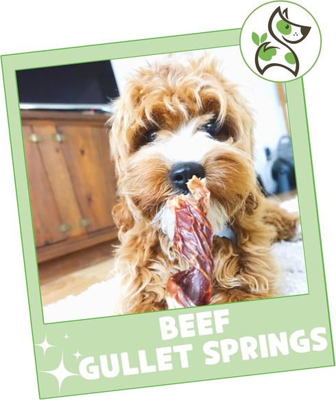 Nature Gnaws Beef Gullet Springs for Dogs, 7-8" (12 Count) - Natural Beef Jerky Stick Chew Treats