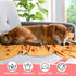 Chumia 8 Pcs Dog Towels, 55 x 28 Inches Absorbent Microfiber Soft Beach Towels for Pet Bathing