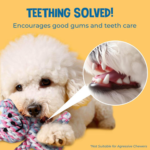SunGrow Teddy Bear Teething Toy Dog Rope for Medium Small Dogs - Knotted Rope for Teeth Cleaning