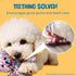 SunGrow Teddy Bear Teething Toy Dog Rope for Medium Small Dogs - Knotted Rope for Teeth Cleaning