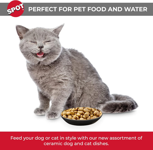 SPOT by Ethical Products - Heavy Ceramic High Gloss Dog Bowl Cat Bowl Durable Dog Food and Water Pet Dish - Dishwasher Safe - 2 TONE GRAY OVAL CAT DISH 6"