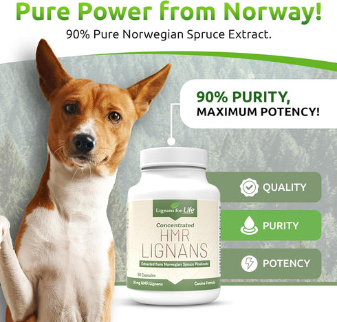 20mg 90 Lignans For Life HMR Lignans - Capsules - Vitamin for Healthy Pet | Natural Multivitamin | Wellness Supplement