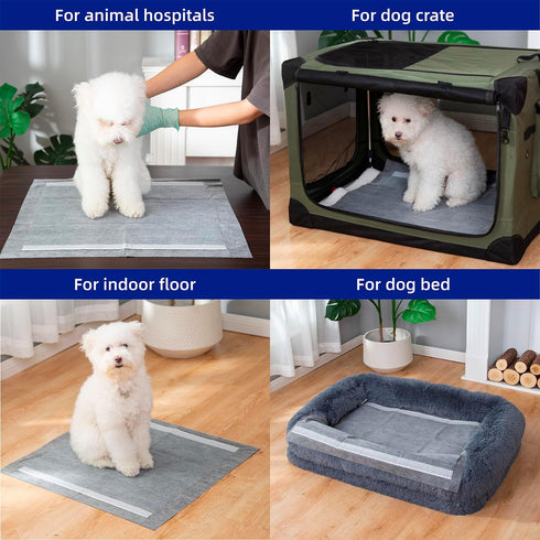 Pettycare Charcoal Puppy Pads Regular 22"x23" 100 Count, Leak-Proof Odor Control, Ultra Absorbent Quick Dry Pads