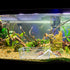 2 Pack Large Transparent Hermit Crab Water Tank with Climbing Ramp for Small to Large Hermit Crab Habitat