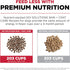 GO! SOLUTIONS Skin + Coat Care Dry Dog Food, 12 lb, Lamb Recipe with Grains