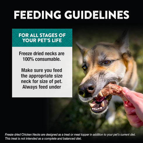 Northwest Naturals Raw Rewards Freeze-Dried Chicken Neck Treats for Dogs and Cats, 4 Oz, Healthy, Human Grade
