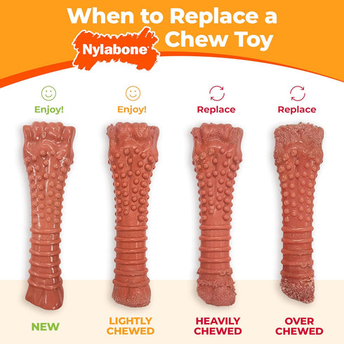 25 lbs, 1 Count Nylabone Dental Dinosaur Power Chew Toy for Dogs, Dog Toys for Aggressive Chewers, Chicken Flavor