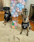 Reversible Triangle Bibs Baby Security Dog Bandana, Pet Scarf