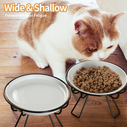 The Ultimate Cat Dining Set: 5.9 inch Ceramic Cat Water Bowl and Anti-vomiting Cat Plates with Metal Stand