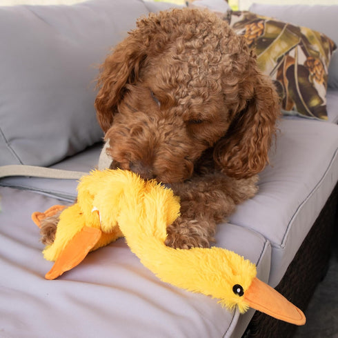 Recommended 21 INCH FGA MARKETPLACE Duck Flat NO Stuffing NO Squeak Plush Dog Toy, Funny Style Will Entertain Your Pet