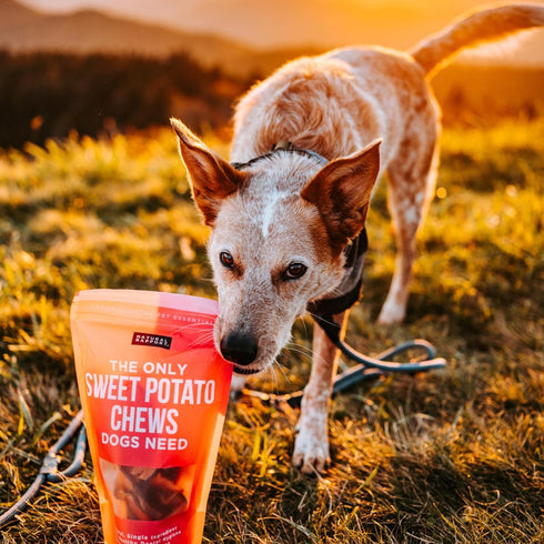 Natural Rapport Sweet Potato Chew, 100% Dehydrated Pet Treats for Dogs (8 oz)