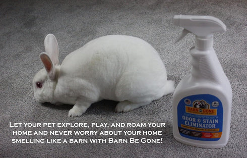 Superhero Strength Stain & Pet Odor Eliminator, Enzyme Carpet Cleaner Spray for Pets, Urine Destroyer