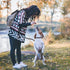 PetiFine Slip Lead Dog Leash - 6FT x 1/2" Reflective Durable Training Leash, Heavy Duty Adjustable Nylon for Small