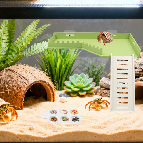Simaixing Hermit Crab Platform with Ladder and Food Dish Hermit Crab Climbing Toys for Habitat Hermit Crab Supplies