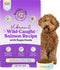 Bundle x Joy Vibrant Salmon Probiotic Dog Food Dry, 8lb Bag, Allergy