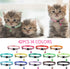 42 Pcs Puppy Collars for Litter, Adjustable ID Collars with Bell for Newborn Dogs and Cats, Reflective