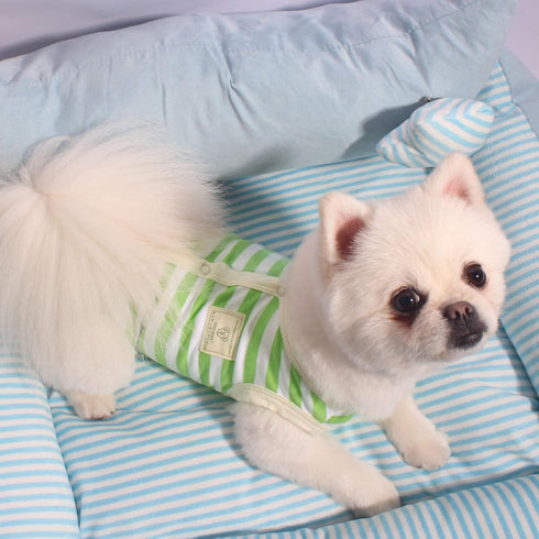 TONY HOBY Dog Pajamas, Summer Sleeveless Jumpsuit with Green Stripes for Small Medium Dogs, White & Green, XL