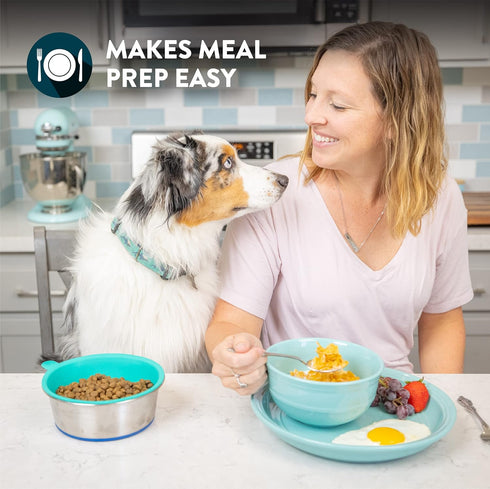 Our Pets DuraPet Stainless Steel Dog Bowl with 3 TPE Inserts, Holds 1.25 Cups for Puppies or Small Dogs