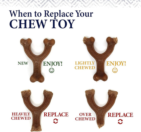 Nylabone Gourmet Style Strong Chew Wishbone Dog Toy, Chicken Flavor, Small/Regular (1 Count)