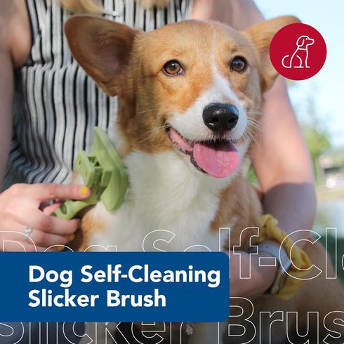 8" 4.5" Coastal Pet Safari Dog Self-Cleaning Slicker Brush - Dog Deshedding Brush - Prevents Mats and Tangled Hair