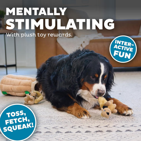 2in1 6 Outward Hound Hide-A-Squirrel Dog Toy Interactive Plush Puzzle with Squeaky Removable Squirrels, X-Large