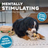 2in1 6 Outward Hound Hide-A-Squirrel Dog Toy Interactive Plush Puzzle with Squeaky Removable Squirrels, X-Large