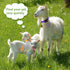 5 Pack Goat Collar with Bell, Adjustable Nylon Collar Set with Anti-Lost Loud Grazing Copper Bells for Farm Animals